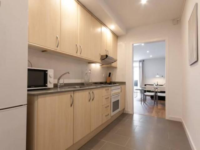 Alquiler 1 Dormitorio Apartamentos Barcelona Barcelona DS104565182