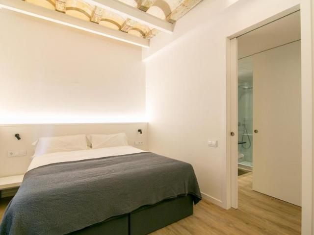 Alquiler 1 Dormitorio Apartamentos Barcelona Barcelona DS104565258