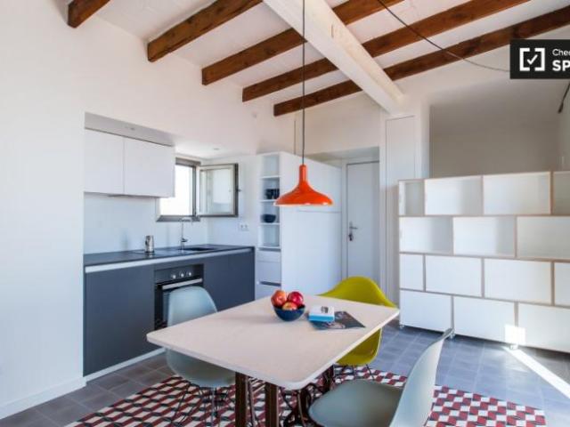 Alquiler 1 Dormitorio Apartamentos Barcelona Barcelona DS104601140