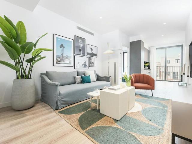 Alquiler 1 Dormitorio Apartamentos Barcelona Barcelona DS104640239