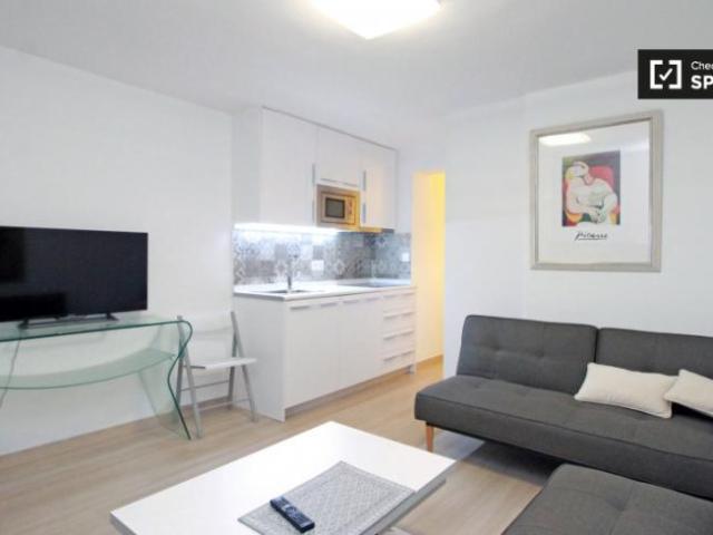Alquiler 1 Dormitorio Apartamentos Barcelona Barcelona DS104644426