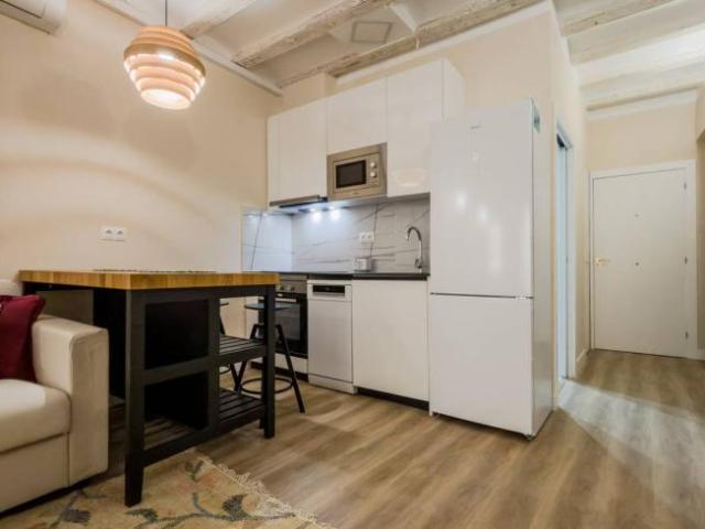Alquiler 1 Dormitorio Apartamentos Barcelona Barcelona DS104683422