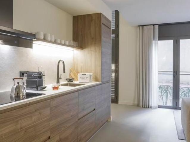 Alquiler 1 Dormitorio Apartamentos Barcelona Barcelona DS104712188