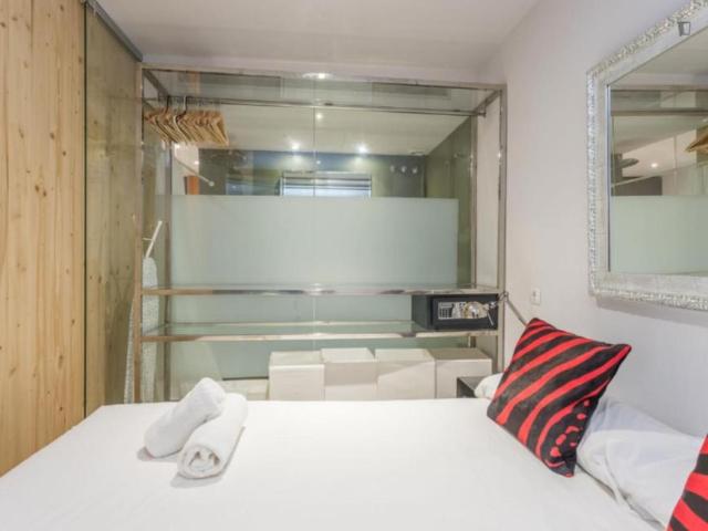 Alquiler 1 Dormitorio Apartamentos Barcelona Barcelona DS104721215