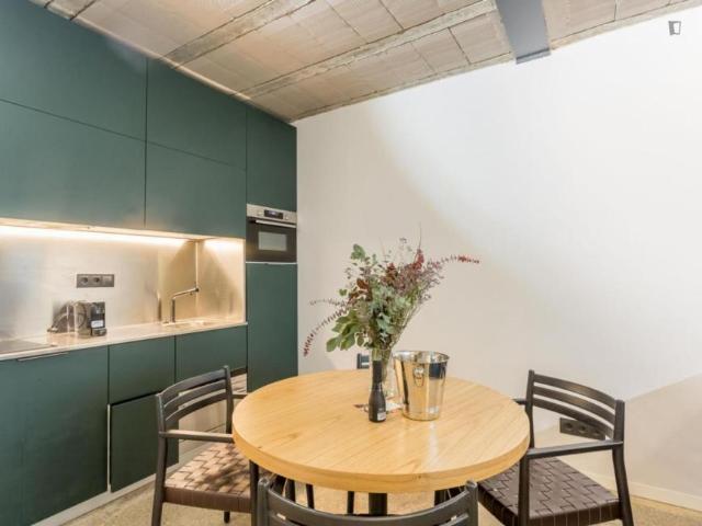 Alquiler 1 Dormitorio Apartamentos Barcelona Barcelona DS104721218