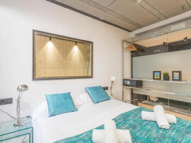 Alquiler 1 Dormitorio Apartamentos Barcelona Barcelona DS104721229