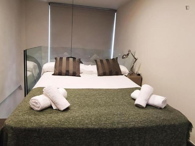 Alquiler 1 Dormitorio Apartamentos Barcelona Barcelona DS104721231