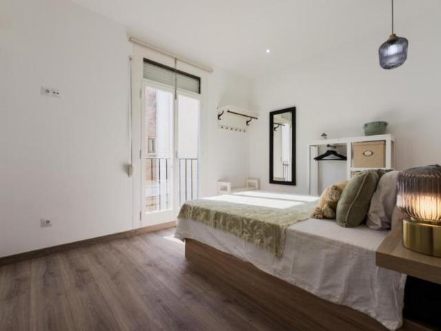 Alquiler 1 Dormitorio Apartamentos Barcelona Barcelona DS104721374