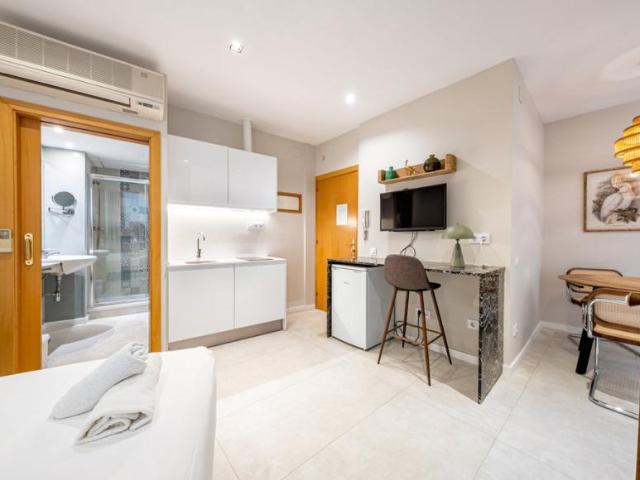 Alquiler 1 Dormitorio Apartamentos Barcelona Barcelona DS104754842