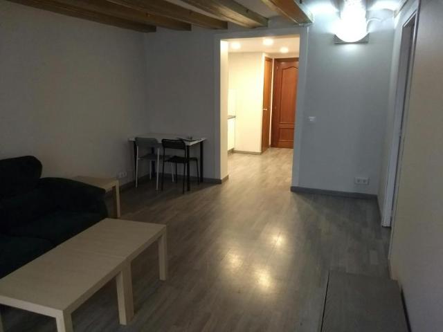 Alquiler 1 Dormitorio Apartamentos Barcelona Barcelona DS104784694