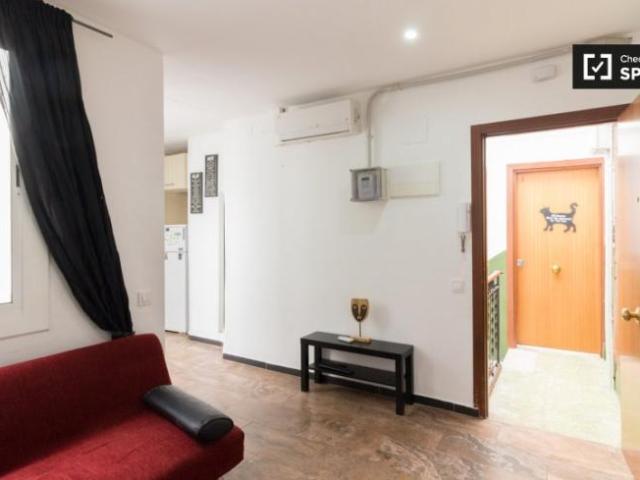Alquiler 1 Dormitorio Apartamentos Barcelona Barcelona DS104803277