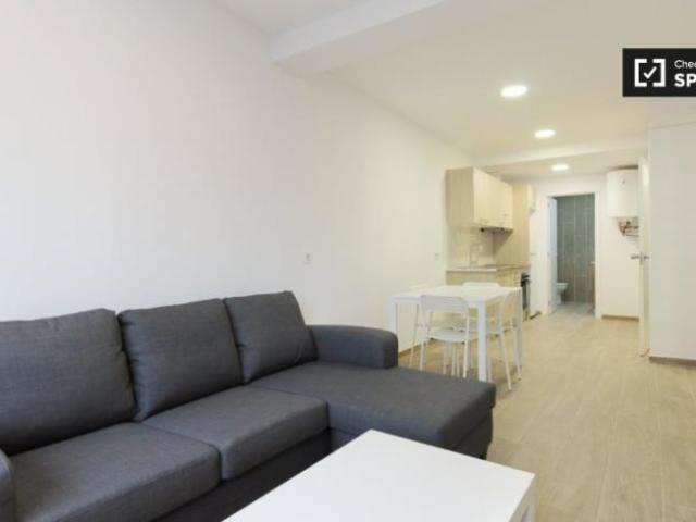 Alquiler 1 Dormitorio Apartamentos Barcelona Barcelona DS104803313