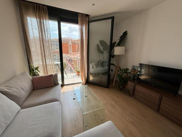 Alquiler 1 Dormitorio Apartamentos Barcelona Barcelona DS104825464