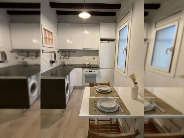 Alquiler 1 Dormitorio Apartamentos Barcelona Barcelona DS104845247