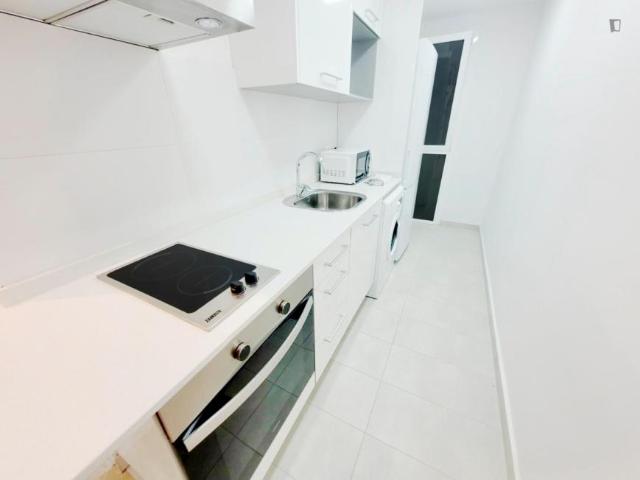 Alquiler 1 Dormitorio Apartamentos Barcelona Barcelona DS104931394