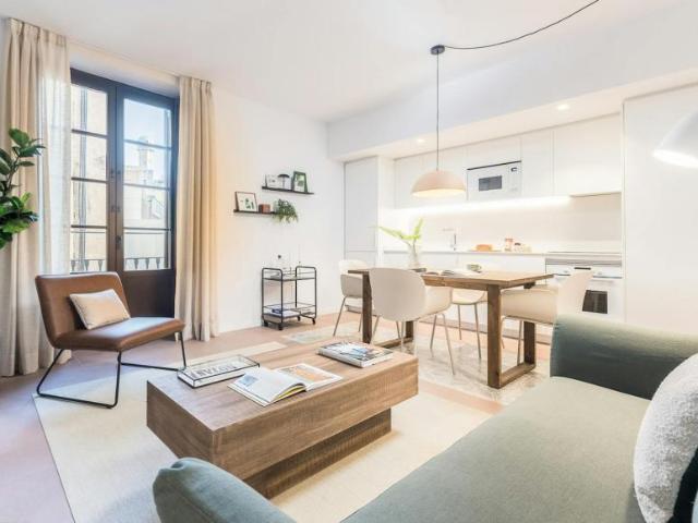 Alquiler 1 Dormitorio Apartamentos Barcelona Barcelona DS104002719