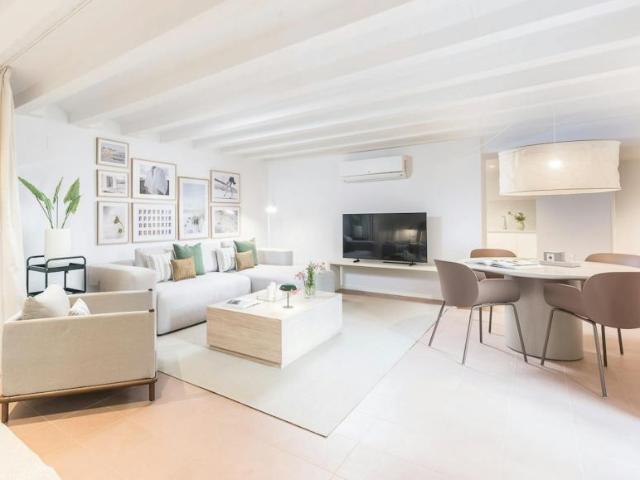 Alquiler 1 Dormitorio Apartamentos Barcelona Barcelona DS104002723