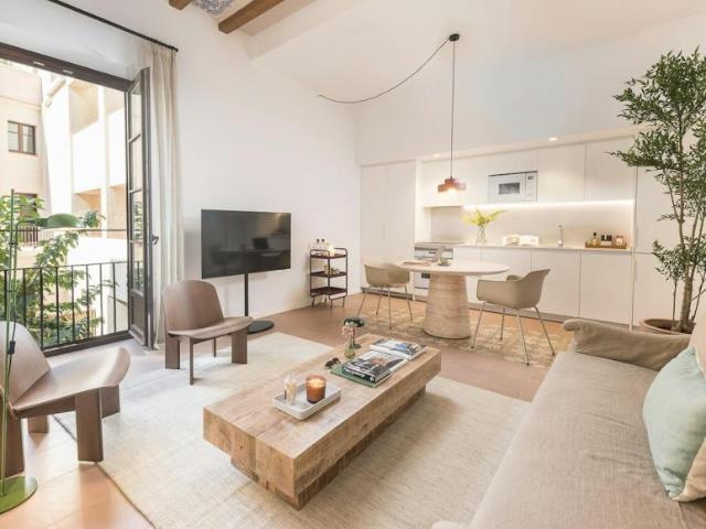 Alquiler 1 Dormitorio Apartamentos Barcelona Barcelona DS104002769