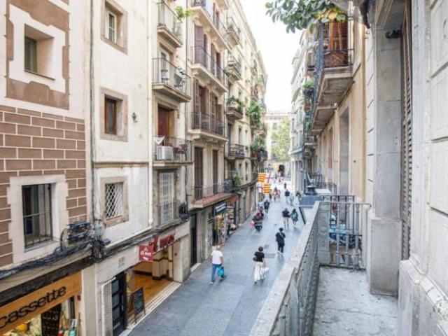 Alquiler 1 Dormitorio Apartamentos Barcelona Barcelona DS104004598