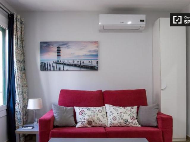 Alquiler 1 Dormitorio Apartamentos Barcelona Barcelona DS104072318