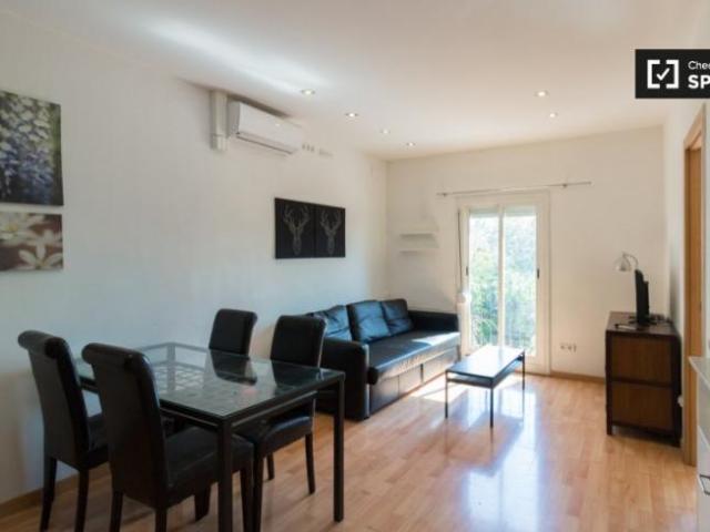 Alquiler 1 Dormitorio Apartamentos Barcelona Barcelona DS104109446