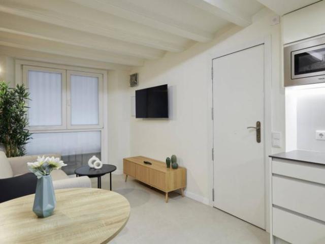 Alquiler 1 Dormitorio Apartamentos Barcelona Barcelona DS104109506
