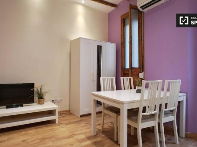 Alquiler 1 Dormitorio Apartamentos Barcelona Barcelona DS104110134