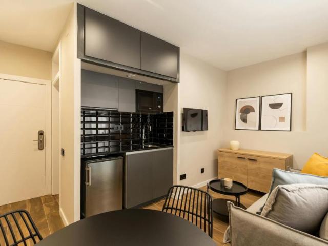 Alquiler 1 Dormitorio Apartamentos Barcelona Barcelona DS104183573