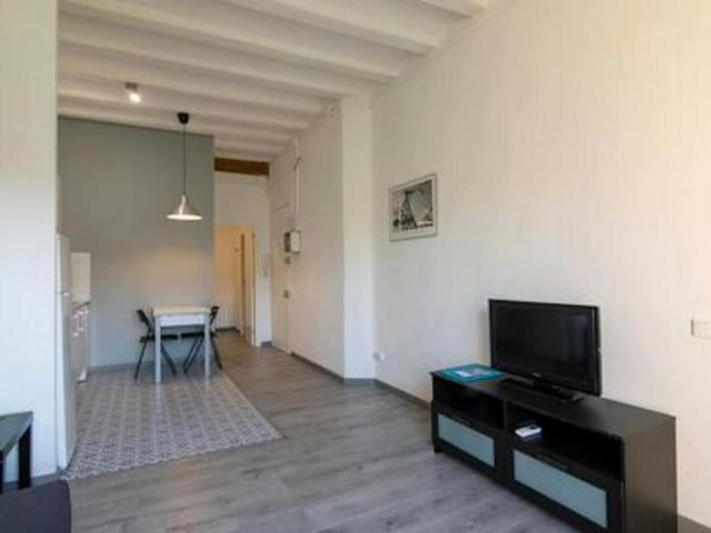 Alquiler 1 Dormitorio Apartamentos Barcelona Barcelona DS104293105