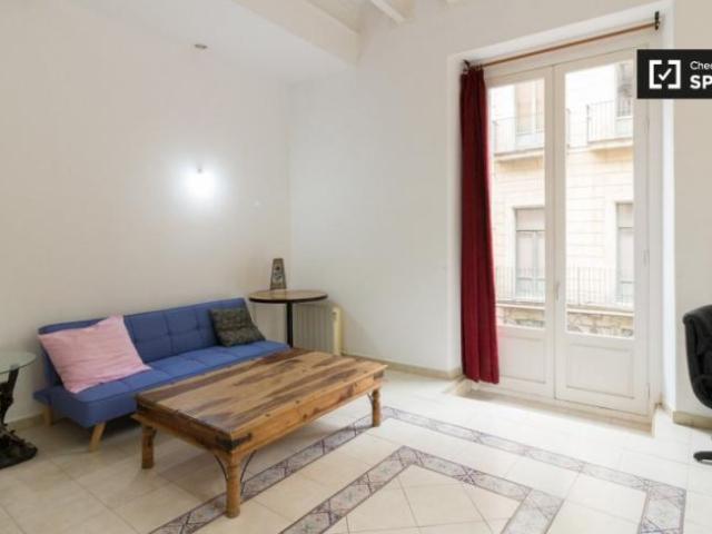 Alquiler 1 Dormitorio Apartamentos Barcelona Barcelona DS104326800