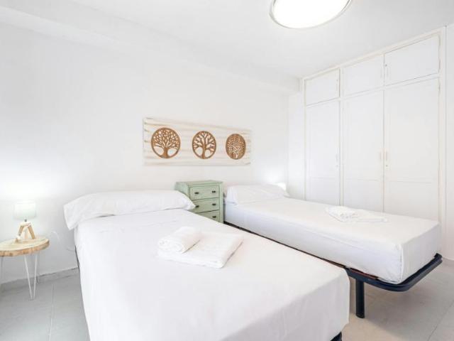 Alquiler 1 Dormitorio Apartamentos Benidorm Benidorm DS104325408
