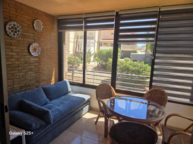 Alquiler 1 Dormitorio Apartamentos Benidorm Benidorm DS103961141
