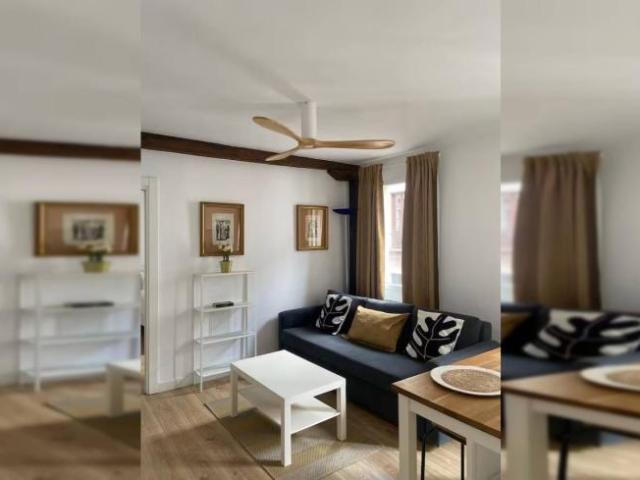 Alquiler 1 Dormitorio Apartamentos Bilbao Bilbao DS93318848