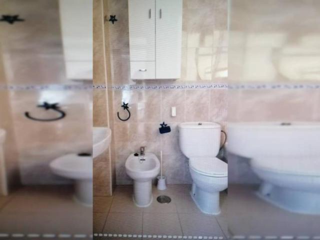 Alquiler 1 Dormitorio Apartamentos Cadiz Cadiz DS104005120
