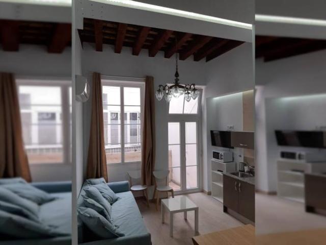 Alquiler 1 Dormitorio Apartamentos Cadiz Cadiz DS104326850