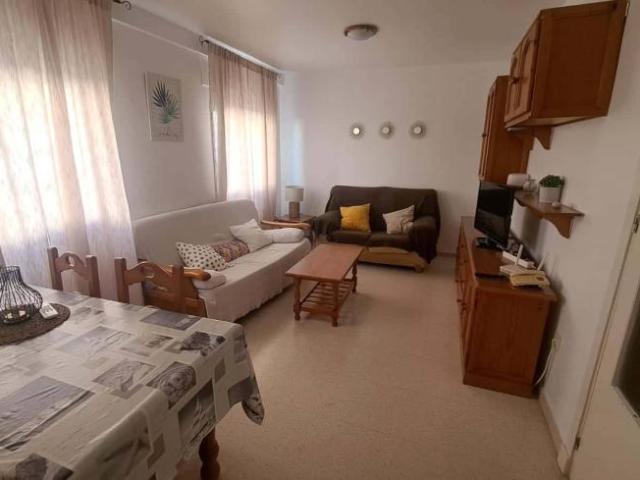 Alquiler 1 Dormitorio Apartamentos Cadiz Cadiz DS104867594