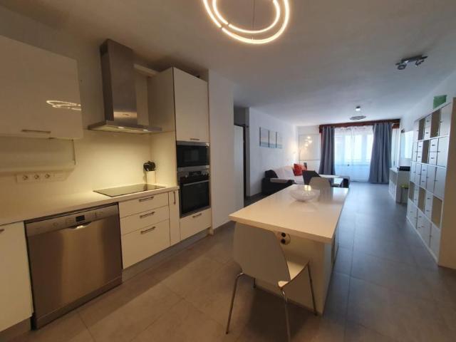 Alquiler 1 Dormitorio Apartamentos El Médano El Médano DS102309387