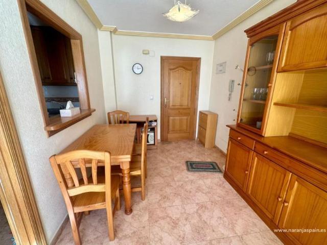 Alquiler 1 Dormitorio Apartamentos Guardamar Del Segura Alicante DLS96657234