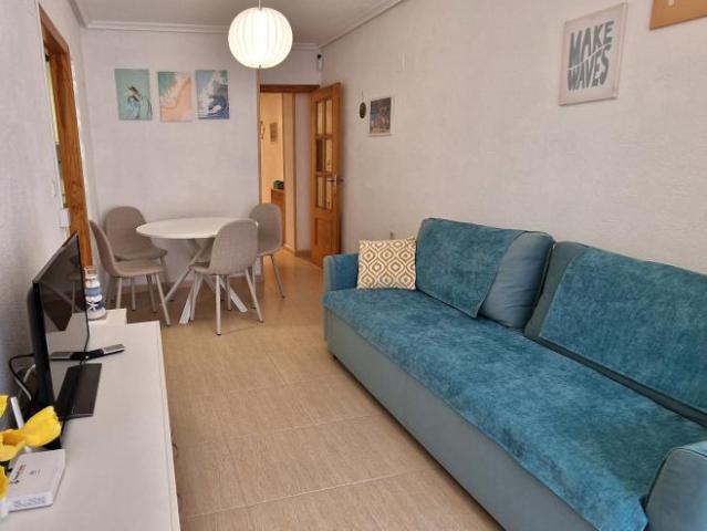 Alquiler 1 Dormitorio Apartamentos Guardamar Del Segura Alicante DS104711827