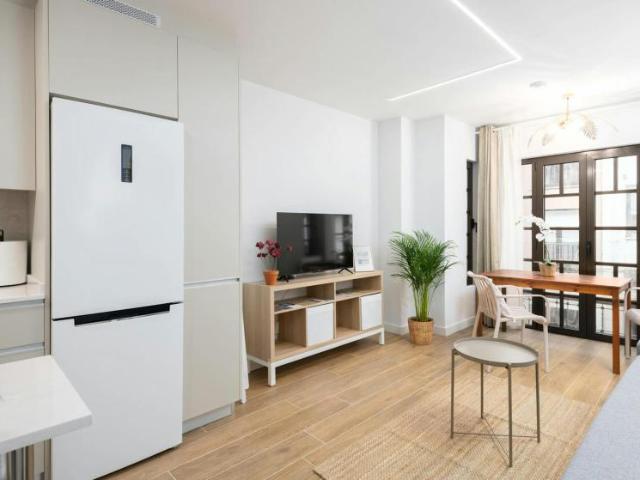 Alquiler 1 Dormitorio Apartamentos Gijón Gijón DS103579828