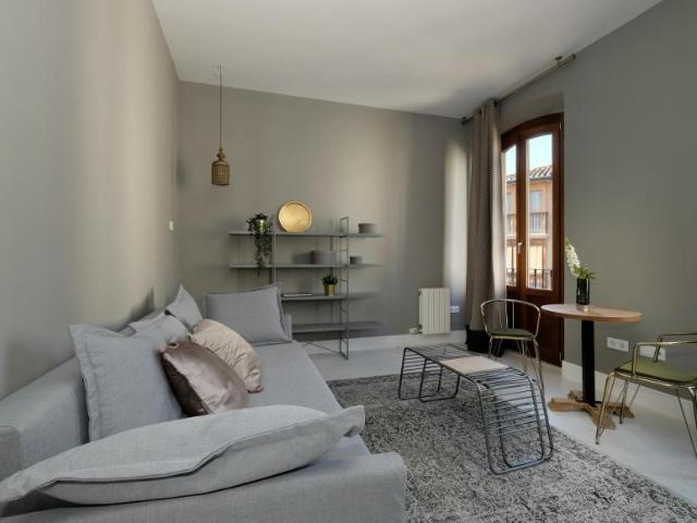 Alquiler 1 Dormitorio Apartamentos Granada Granada DLS102086436