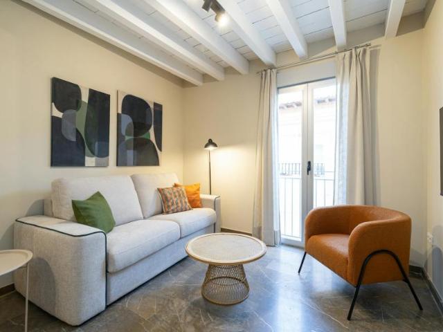 Alquiler 1 Dormitorio Apartamentos Granada Granada DS102661250