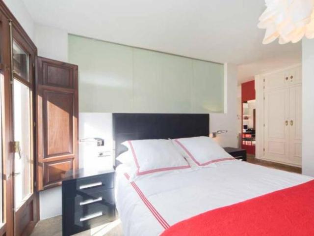 Alquiler 1 Dormitorio Apartamentos Granada Granada DS103399700
