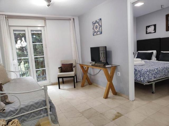 Alquiler 1 Dormitorio Apartamentos Granada Granada DS103491345