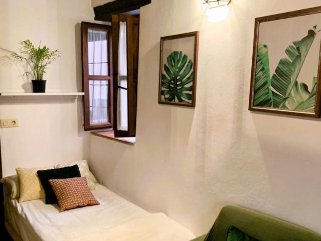 Alquiler 1 Dormitorio Apartamentos Granada Granada DS103544666