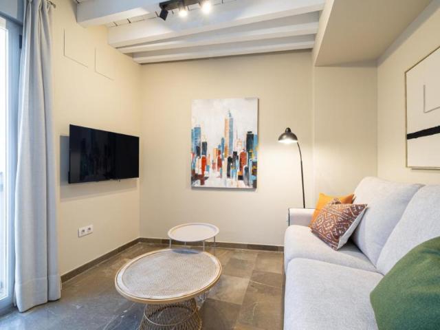 Alquiler 1 Dormitorio Apartamentos Granada Granada DS103596115