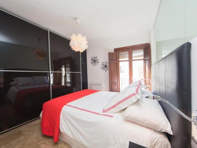 Alquiler 1 Dormitorio Apartamentos Granada Granada DS103597982