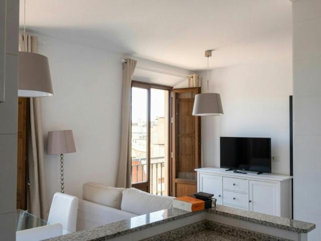 Alquiler 1 Dormitorio Apartamentos Granada Granada DS104324643