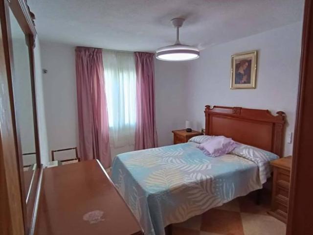 Alquiler 1 Dormitorio Apartamentos Granada Granada DS104803414