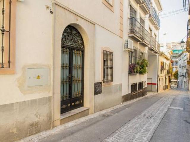 Alquiler 1 Dormitorio Apartamentos Granada Granada DS45380630